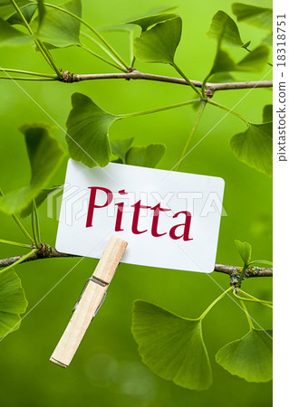 The Word „Pitta“ in a Ginkgo Tree 18318751