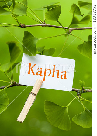 The Word „Kapha“ in a Ginkgo Tree The Word „Kapha“ in a Ginkgo Tree 18318752