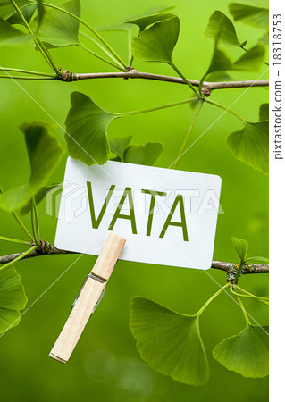 The Word „Vata“ in a Ginkgo Tree The Word „Vata“ in a Ginkgo Tree 18318753
