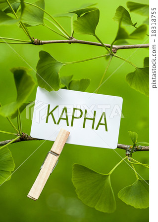 Kapha, Ayurveda, Doshas 18318755