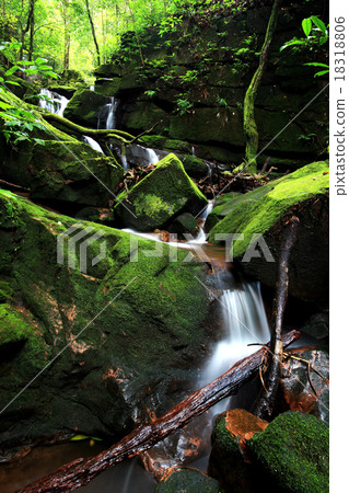 Beautiful stream at Moss waterfall, Phu Soi Dao 18318806