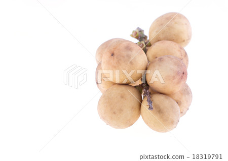 longkong tropical fruit on white background longkong tropical fruit on white background 18319791