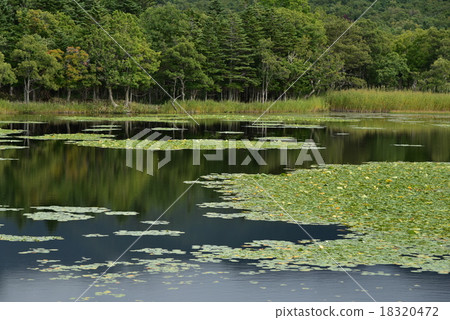 Shiretokogo Lake One Lake Shiretokogo Lake One Lake 18320472