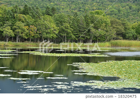 Shiretokogo Lake One Lake 18320475