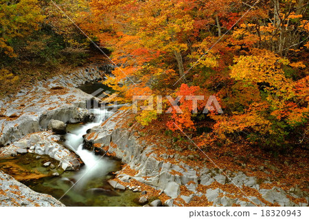 Nakatsugawa Valley 18320943