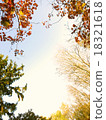 Autumn coloring framing - C 18321618