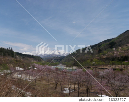 Spring of Tohoku 18322727