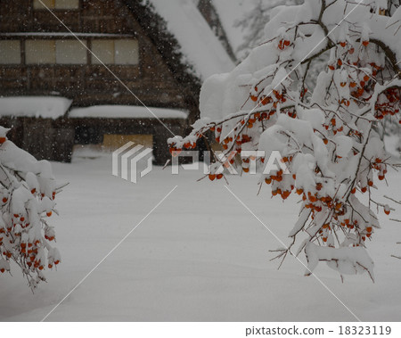 Snow scenery with architecture with principal ridgepole 18323119