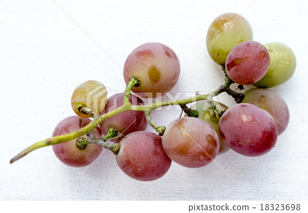 The Grape. The Grape. 18323698