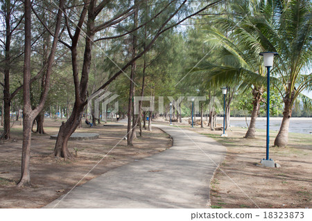 The concrete sidewalk way among wild forest The concrete sidewalk way among wild forest 18323873