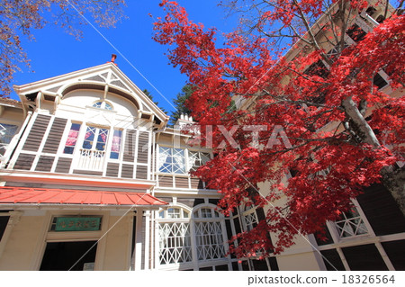 Mikasa老秋葉 Mikasa老秋葉 18326564