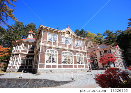 The old autumn leaves of Mikasa 18326565