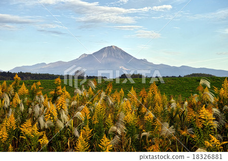 Foothills in the western foot of Oyama in autumn 18326881