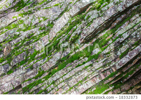 沉積岩苔蘚牆 18332873