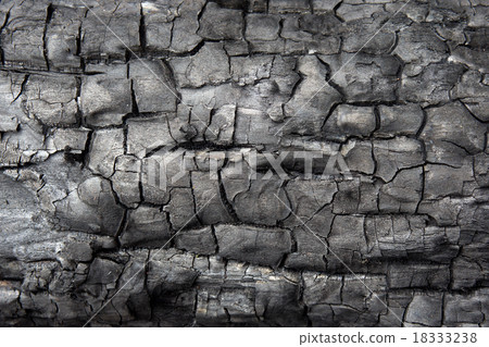 Black charcoal texture. Burnt wood texture 18333238