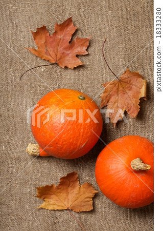 Two orange pumpkins Two orange pumpkins 18333280
