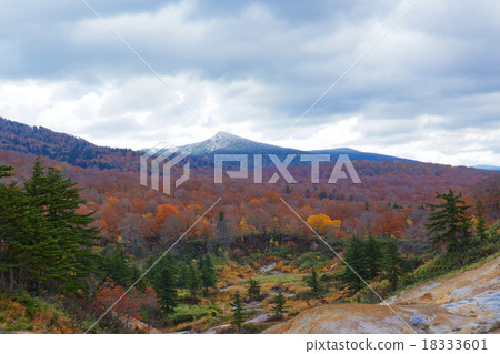 Autumn leaves of Terewada Hachimantai National Park Autumn leaves of Terewada Hachimantai National Park 18333601