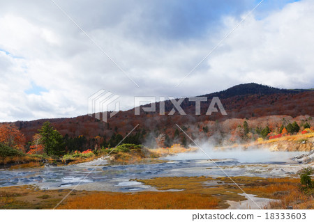 Autumnal leaves and mud volcanoes of the Takarada Hachimantai National Park's Suzenke Hot Springs Autumnal leaves and mud volcanoes of the Takarada Hachimantai National Park's Suzenke Hot Springs 18333603