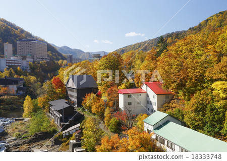 Autumn leaves 18333748