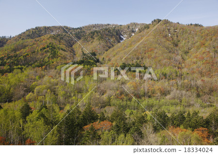 Spring autumn leaves 18334024