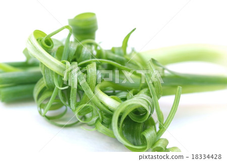 圖庫照片: spring onion