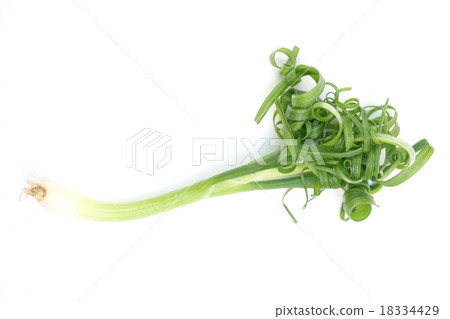 Spring onion Spring onion 18334429