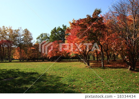市民公園 市民公園 18334434