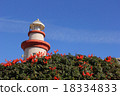Ensenada Lighthouse 18334833