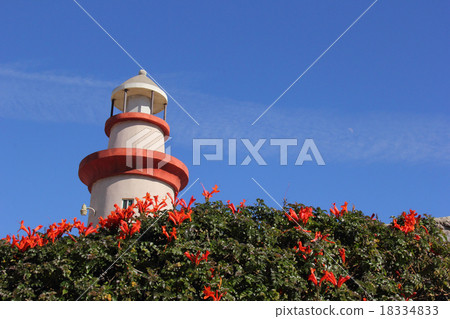 Ensenada Lighthouse 18334833