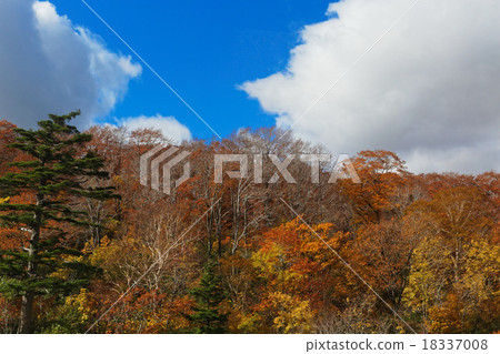 Terewada Hachimantai國家公園秋葉 18337008