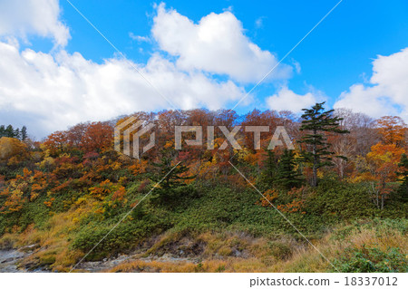 Autumn leaves of Terewada Hachimantai National Park Autumn leaves of Terewada Hachimantai National Park 18337012