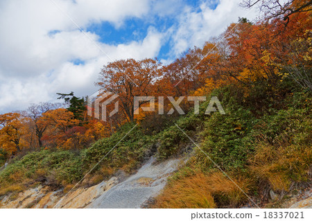Terewada Hachimantai國家公園秋葉 18337021