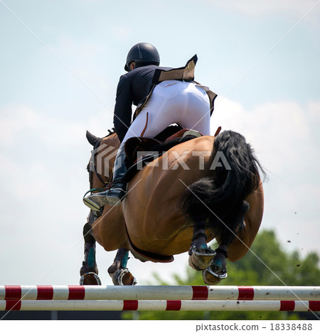Equestrian Sports Equestrian Sports 18338488