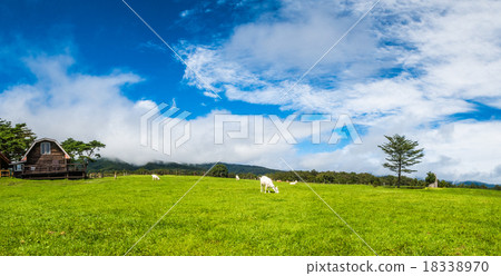 Miyagi Zao的牧場 Miyagi Zao的牧場 18338970