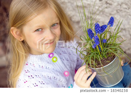 Hyacinthus Hyacinthus 18340238