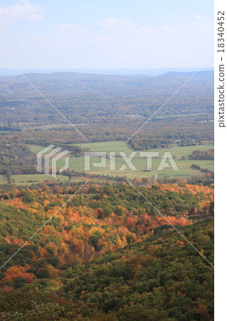 The beginning of autumnal leaves in New York State The beginning of autumnal leaves in New York State 18340452
