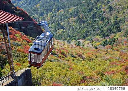 Autumn leaves of Unzen 18340766