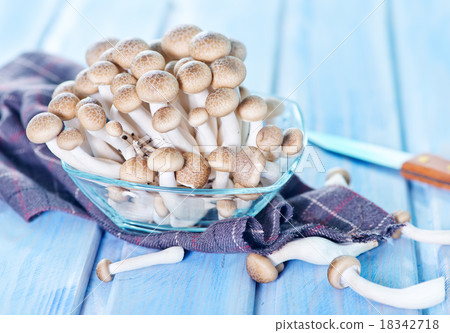 mushrooms mushrooms 18342718