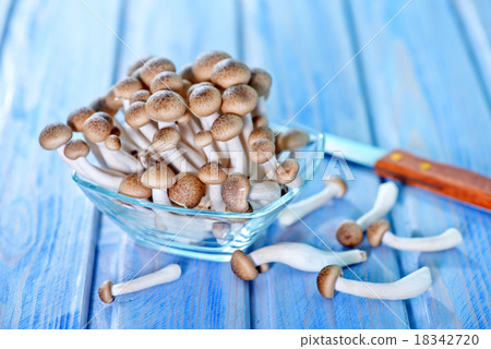 mushrooms mushrooms 18342720