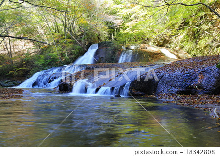 熊幻燈片 - 2015年初秋 熊幻燈片 - 2015年初秋 18342808