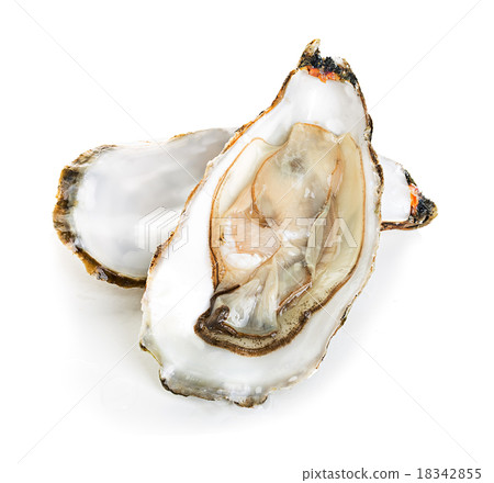 Oysters isolated on a white background 18342855