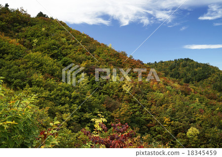 Hakusan Shirakawago白色路白色葉子 18345459