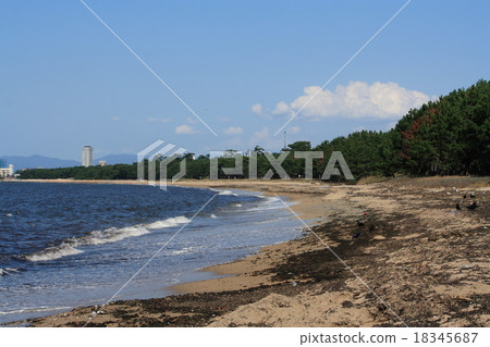 Living Matsubara and Hakata Bay Living Matsubara and Hakata Bay 18345687