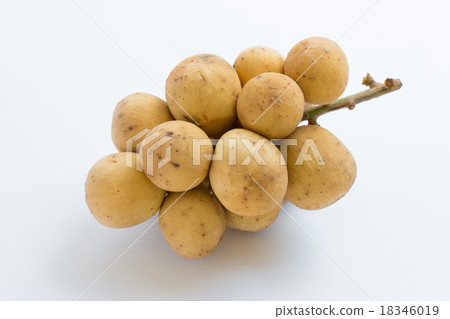 Longkong fruit or Lansium parasiticum Longkong fruit or Lansium parasiticum 18346019