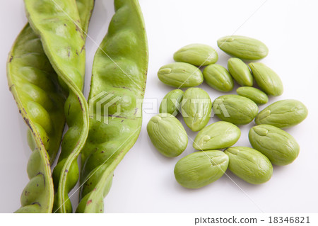 Parkia speciosa isolated on white background Parkia speciosa isolated on white background 18346821