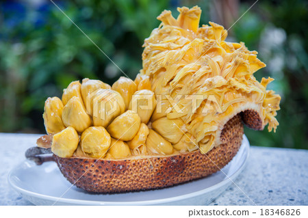 Group of fresh chempedak arils 18346826