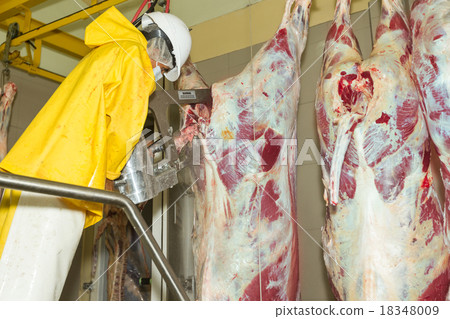 Electric Brisket Opening Saw Electric Brisket Opening Saw 18348009