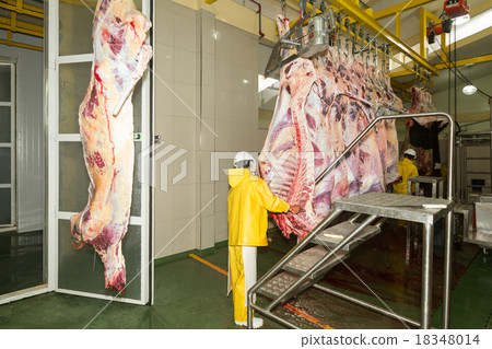 Cattle Production Line In A Slaughterhouse 18348014
