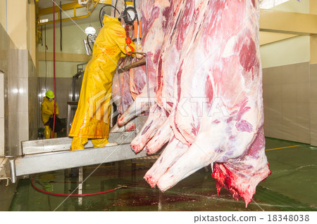 Slaughterhouse Butcher On The Production Line 18348038