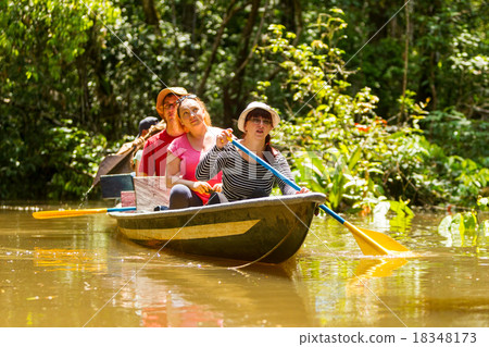 Boat With Tourists In Amazonian Jungle 18348173